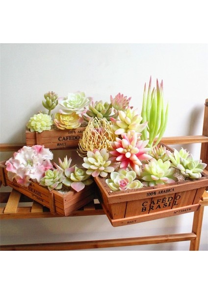 Guan Yin Lian 1 Adet Beyaz Akın Yapay Succulents Kiler Çiçek Aranjmanı Aksesuarları Masaüstü Bonsai Ev Bahçe Dekorasyonu Kiler (Yurt Dışından) modelleri