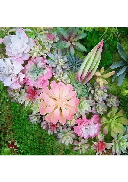 Guan Yin Lian 1 Adet Beyaz Akın Yapay Succulents Kiler Çiçek Aranjmanı Aksesuarları Masaüstü Bonsai Ev Bahçe Dekorasyonu Kiler (Yurt Dışından) fırsatları