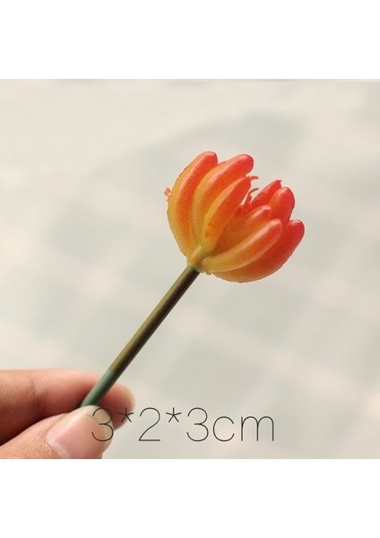 Juhuang Beihuaxin 39 Stilleri Yeşil Yapay Succulents Kiler Ev Bahçe Dekorasyon Düğün Kileri Duvar Çiçek Aranjmanı Bonsai Kiler (Yurt Dışından)