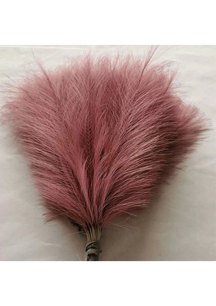 H-10 Adet 10 Adet Yapay Pampas Çim Buket Ev Düğün Dekorasyon Parti Odası Dekor Yatak Odası Dıy Çiçek Duvar Vazo Ki Kamış Hediye (Yurt Dışından) fırsatları