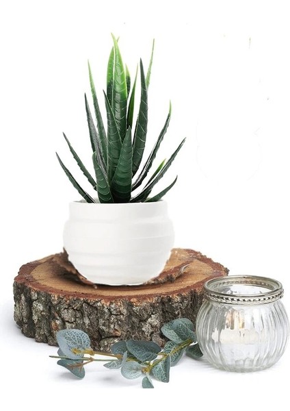 Turuncu Mini Yapay Kiler Etli Saksı Küçük Simüle Çiçekler Pot Raf Dekor ve Yatak Odası Dekoru Masa Ki (Yurt Dışından) modelleri