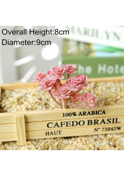 Uzun O Lan Kırmızı Akın Yapay Succulents Kiler Masaüstü Masa Yatak Odası Ofis Mini Bonsai Süs Kiler Ev Bahçe Dekorasyonu (Yurt Dışından) indirimleri