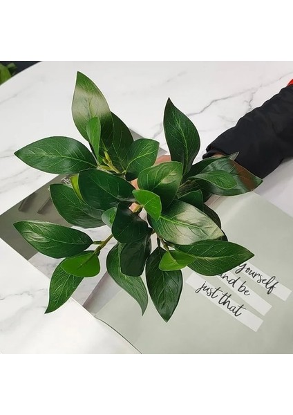 Stil 2 Yapay Çalılar Kiler Okaliptüs Yaprakları Bahçe Ev Düğün Avlu Açık Ofis Dekor Için Yeşillik Dalları Kaynaklanıyor (Yurt Dışından)