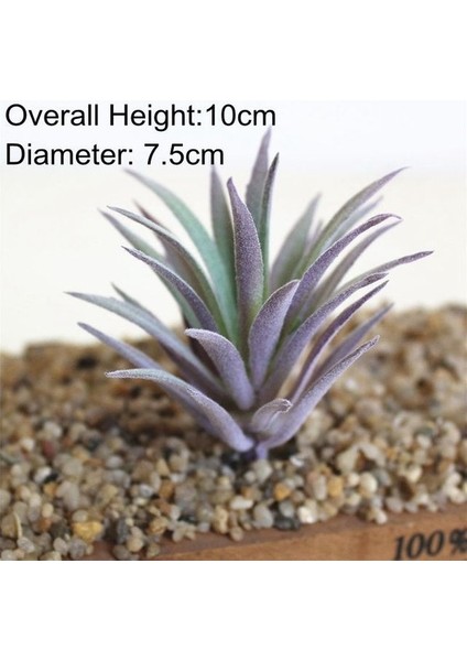 Fp Mini Lingjiaocao 39 Stilleri Mor Akın Yapay Succulents Kiler Ev Bahçe Dekorasyonu Dıy Kiler Duvar Çiçek Aranjmanı Kiler (Yurt Dışından)