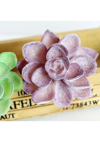 Fp Mini Lingjiaocao 39 Stilleri Mor Akın Yapay Succulents Kiler Ev Bahçe Dekorasyonu Dıy Kiler Duvar Çiçek Aranjmanı Kiler (Yurt Dışından) fırsatları