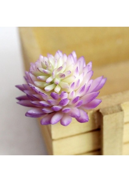 Fp Mini Lingjiaocao 39 Stilleri Mor Akın Yapay Succulents Kiler Ev Bahçe Dekorasyonu Dıy Kiler Duvar Çiçek Aranjmanı Kiler (Yurt Dışından) indirimleri