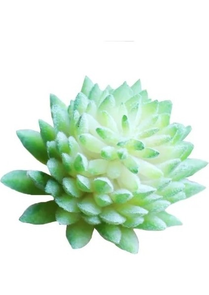 24 Yapay Succulents Ki Simülasyonu Succulents Saksı Ki Minyatür Kiler Succulents Ev Ofis Dekor (Yurt Dışından)