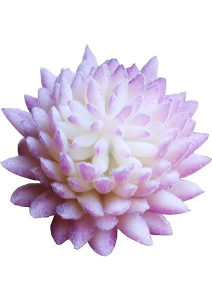 24 Yapay Succulents Ki Simülasyonu Succulents Saksı Ki Minyatür Kiler Succulents Ev Ofis Dekor (Yurt Dışından) fırsatları