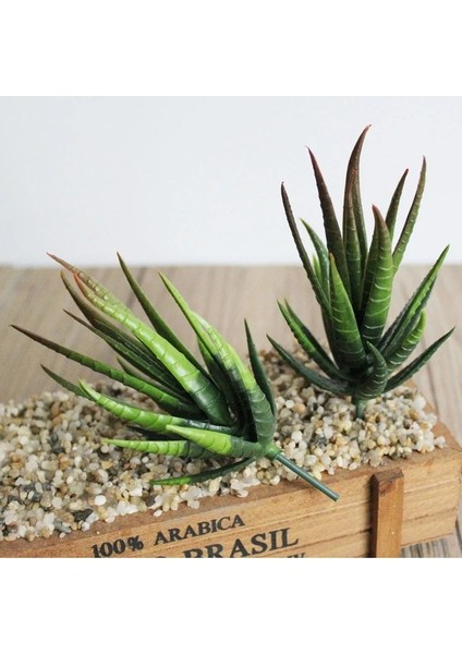 Feizhouluhui Yeşil Yapay Etli Kiler Aloe Zebrina Yapay Kiler Peyzaj Çiçek Aranjmanı Bahçe Dekorasyon Aksesuarları (Yurt Dışından) fırsatları
