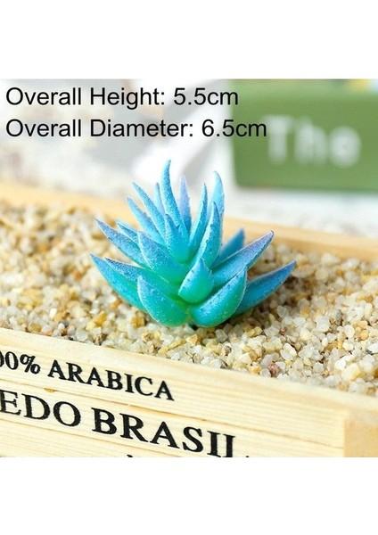 Daicixiaoluhui Fb Yapay Etli Kiler Aloe Zebrina Yapay Kiler Peyzaj Çiçek Aranjmanı Bahçe Dekorasyon Aksesuarları (Yurt Dışından)