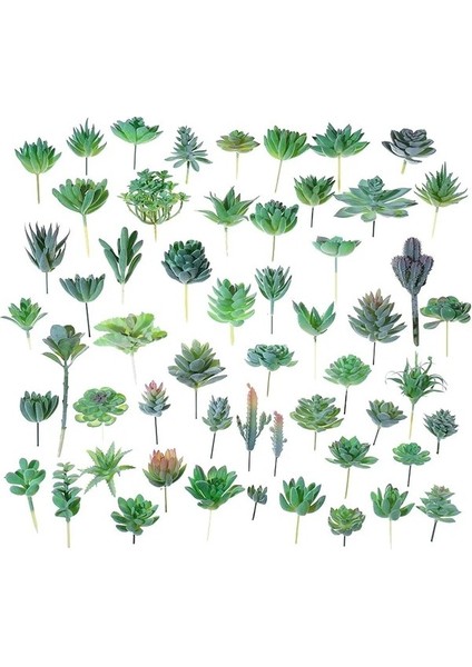 x Iao Lan Cao Küçük Orta Büyük Yeşil Akın Yapay Succulents Kiler Ev Yatak Odası Oturma Odası Masaüstü Dekorasyon Kiler Bonsai (Yurt Dışından) fırsatları