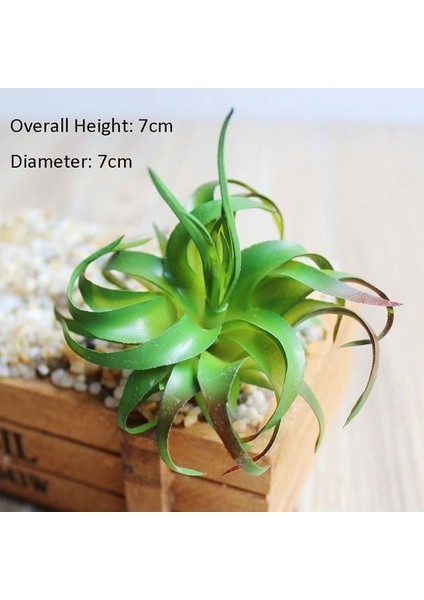 Yeşil Huo Lun Hua Yeşil Yapay Succulents Kiler Ev Bahçe Yatak Odası Balkon Masaüstü Masa Mini Bonsai Düğün Parti Dekorasyon Kiler (Yurt Dışından)