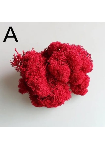 Yapay Yeşil Ki Çiçek Yosun Çim Ev Oturma Odası Dekoratif Duvar Dıy Çiçek Mini Aksesuarları (Yurt Dışından)