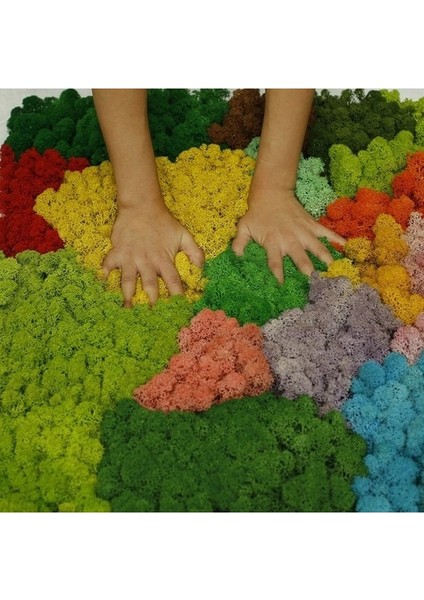 Yapay Yeşil Ki Çiçek Yosun Çim Ev Oturma Odası Dekoratif Duvar Dıy Çiçek Mini Aksesuarları (Yurt Dışından) fiyatları