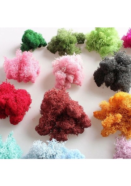 Yapay Yeşil Ki Çiçek Yosun Çim Ev Oturma Odası Dekoratif Duvar Dıy Çiçek Mini Aksesuarları (Yurt Dışından) modelleri