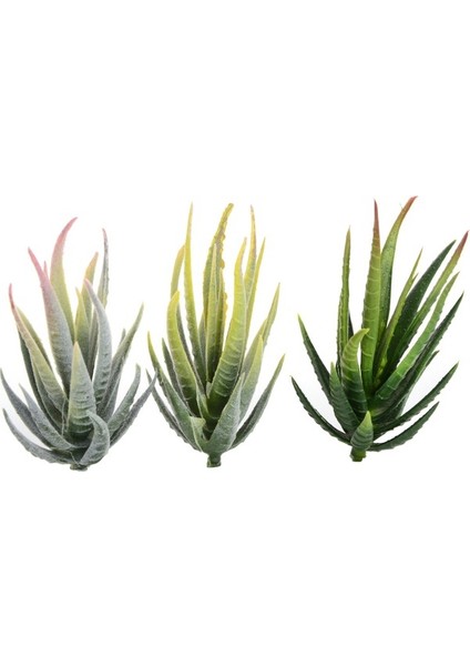 Yeşil Ban Ma Lu Hui Yeşil Pembe Sarı Zebra Aloe Yapay Sulu Meyveler Kiler Ev Bahçe Dekorasyonu Dıy Kiler Duvar Plastik Kiler Yükseklik = 12 cm (Yurt Dışından) fırsatları