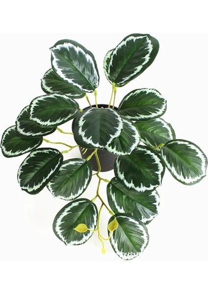 26 cm P 26 cm Yapay Yeşil Kiler Plastik Mini Sarmaşıklar Çiçek Düğün Dekorasyon Peyzaj Otel Ofis Mağaza Ev Deco Accessori (Yurt Dışından) indirimleri