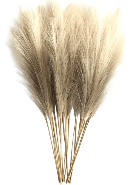 6 Adet Yapay Pampas Çim Dekor Çiçekler Dıy Çiçek Masa Düzenlemek Ki Kamış Çiçek Düğün Ev Noel Dekorasyon Açık Kahve / Boyut6 Adet Paket (Yurt Dışından)