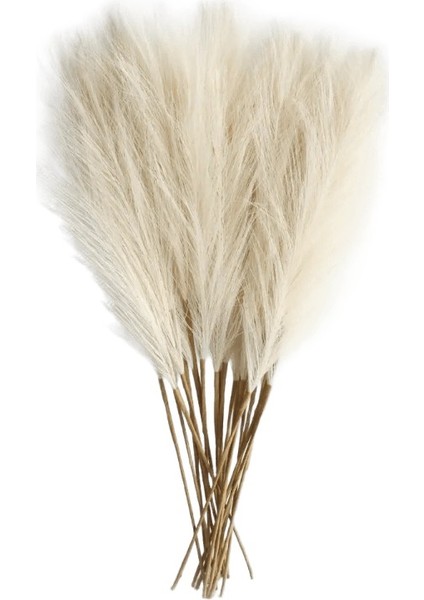 6 Adet Yapay Pampas Çim Dekor Çiçekler Dıy Çiçek Masa Düzenlemek Ki Kamış Çiçek Düğün Ev Noel Dekorasyon Bej / Boyut6 Adet Paket (Yurt Dışından)