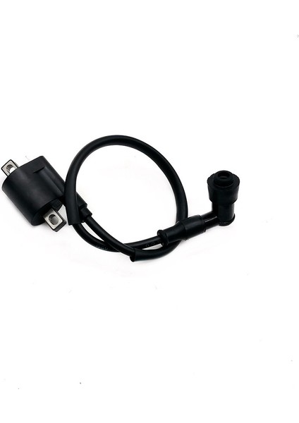 50CC 125CC 150CC 200CC D8TC Cg Zj Yüksek Basınç Bobini Atv Quad Kirli Pit Bike Için Motosiklet Ateşleme Bobini (Yurt Dışından)