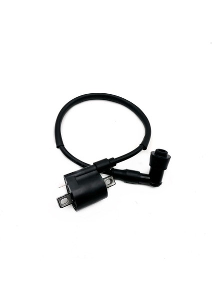 50CC 125CC 150CC 200CC D8TC Cg Zj Yüksek Basınç Bobini Atv Quad Kirli Pit Bike Için Motosiklet Ateşleme Bobini (Yurt Dışından) fırsatları