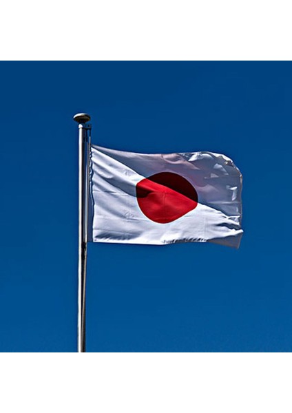 Bayrak Japonya Japon Polyester Dış Mekan Bayrağı Tebrikler 90 x 150 cm (Yurt Dışından) indirimleri
