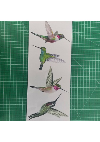 8 Büyük Güzel Sinek Kuşu Statik Pencere Etiketi Çıkartmaları Sinek Kuşu Anti Çarpışma Kuş Grev Pencere Çıkartmaları (Yurt Dışından) modelleri