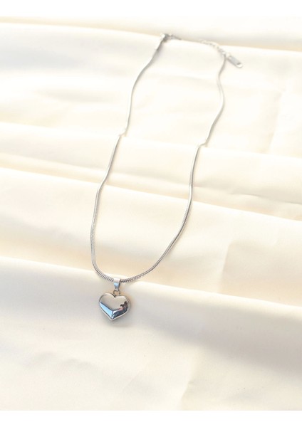 Bfs 316L Çelik Gümüş Renk Kalp Kolye fiyatları