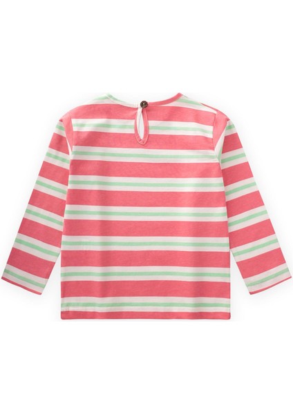 Çizgili Uzun Kollu T-Shırt 2-8 Yaş Pembe Yeşil Çizgili fiyatları
