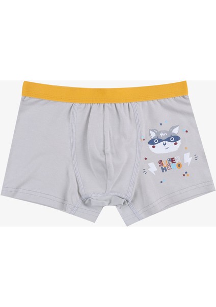 Erkek Çocuk Pamuklu Uzay Baskılı 3'lü Boxer fiyatları