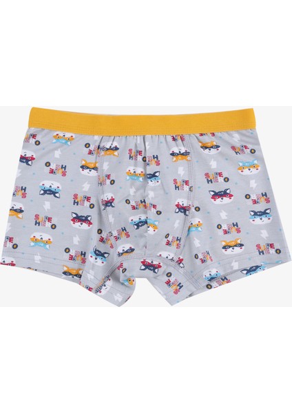 Erkek Çocuk Pamuklu Uzay Baskılı 3'lü Boxer modelleri