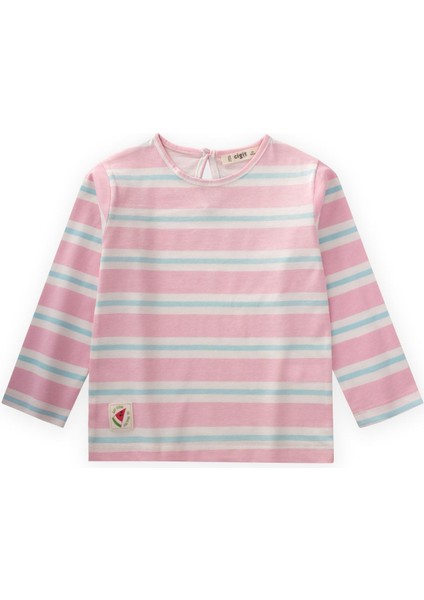 Çizgili Uzun Kollu T-Shırt 2-8 Yaş Pudra Mavi Çizgili