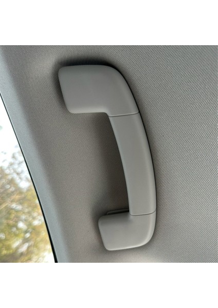 Ön Iç Tavan Güvenlik Kolu Tavan Çekme Kolu Tavan Kol Dayama Korkuluğu Vw Tiguan Mk2 2017 2018 5NG857607A (Yurt Dışından) modelleri