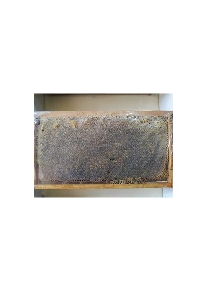 Kendi Arılarımızdan 1kg Süzme Bal Tatların Özünü Yansıtan, Kendine Özgü Lezzet Profiliyle modelleri