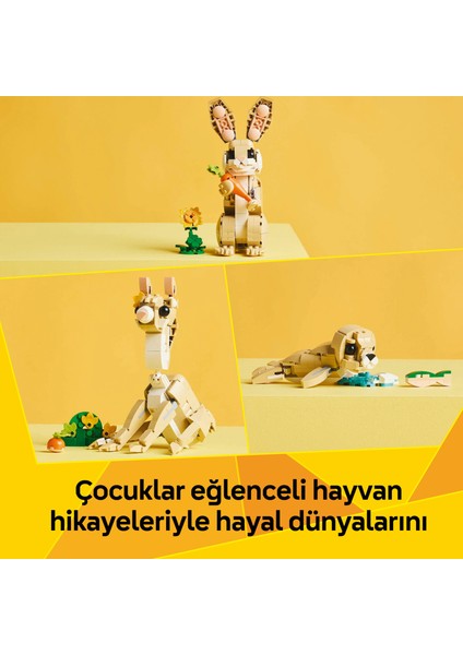 ® Creator 3’ü 1 Arada Sevimli Tavşan 31162 - 8 Yaş & Üzeri Çocuklar için Yaratıcı Oyuncak Yapım Seti (326 Parça)