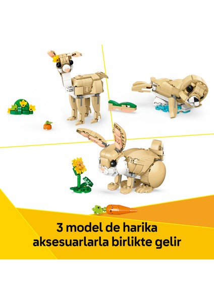 ® Creator 3’ü 1 Arada Sevimli Tavşan 31162 - 8 Yaş & Üzeri Çocuklar için Yaratıcı Oyuncak Yapım Seti (326 Parça)
