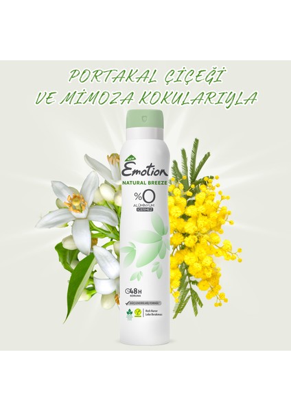 Natural Breeze Kadın Deodorant 6 x 200 ml