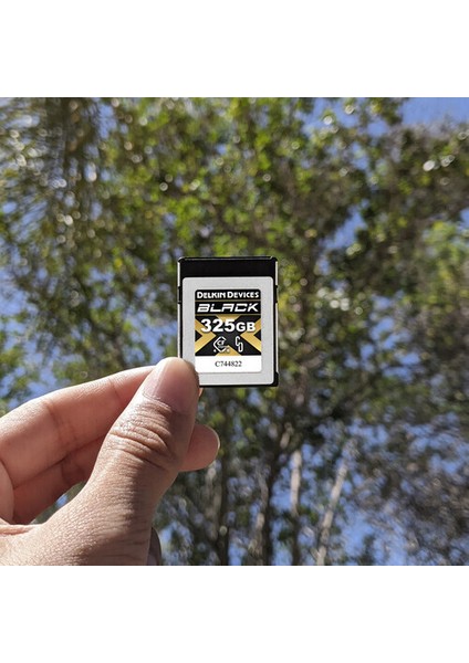 325GB Black Cfexpress™ Type B Hafıza Kartı modelleri