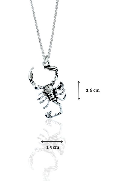 Akrep Parlak Unisex Tasarım 925 Ayar Gümüş Kolye fırsatları
