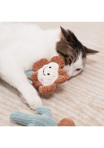 Kedi Oyuncakları Kendi Kendini Yüceltir ve Eser Dişleri Gıcırdatabilir (Yurt Dışından) fiyatları