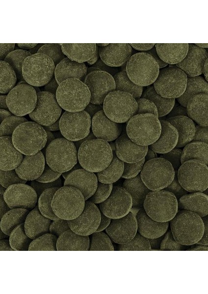 Hi-Algae Discs Xxl 5lt 2,5kg fiyatları