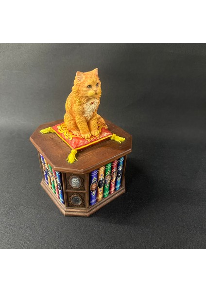 Kedilere Deli Takı Kutusu Veronese Design Kedi Severlere Hediye Takı Kutusu indirimleri