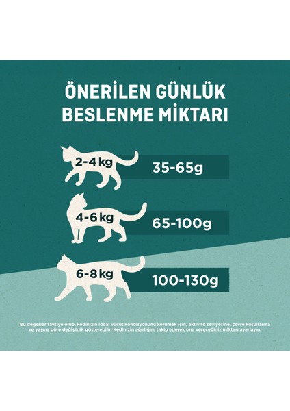 Purına One Adult Tavuk ve Yeşil Fasulyeli Yaş Yetişkin Kedi Maması 26X85G indirimleri