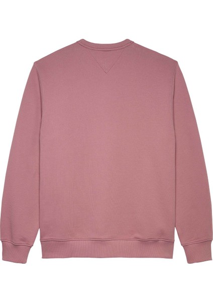 Erkek SWEATSHIRT-DM0DM20660 fiyatları