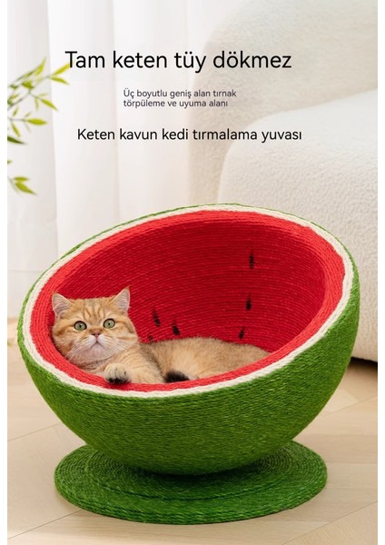 Karpuz Şekilli Çok Fonksiyonlu Kedi Tutucu Tırmanma Rafı (Yurt Dışından) modelleri