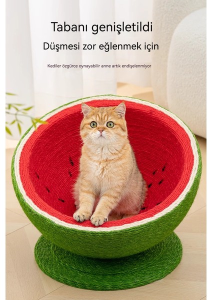 Karpuz Şekilli Çok Fonksiyonlu Kedi Tutucu Tırmanma Rafı (Yurt Dışından) fırsatları