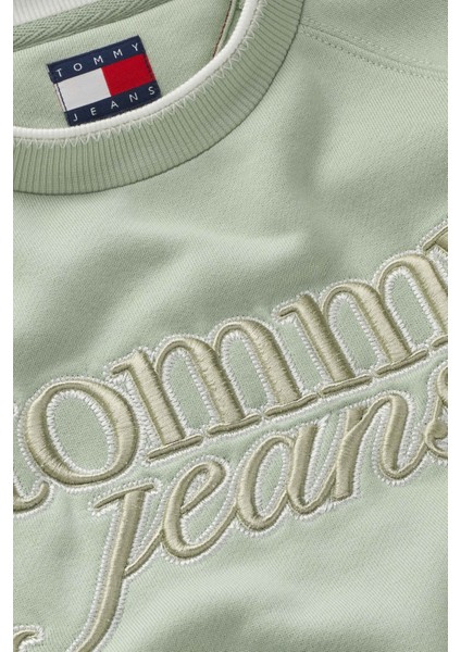 Kadın SWEATSHIRT-DW0DW21196 modelleri