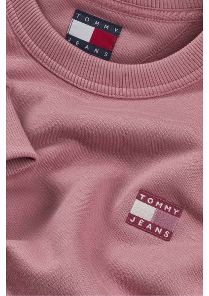 Erkek SWEATSHIRT-DM0DM20660 modelleri