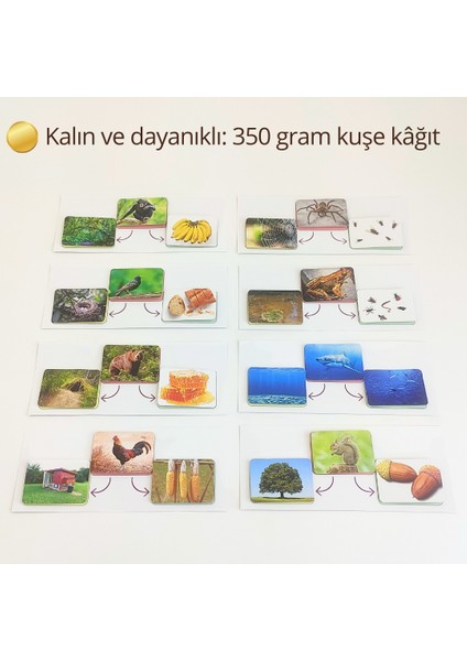 Hayvan–Yaşam Alanı–Yiyecek Eşleştirme Seti | Okul Öncesi Eğitici Etkinlik Kiti | Minik Doğabilimci Montessori Aktivitesi | Görsel Algı & Dikkat fırsatları