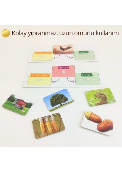 Hayvan–Yaşam Alanı–Yiyecek Eşleştirme Seti | Okul Öncesi Eğitici Etkinlik Kiti | Minik Doğabilimci Montessori Aktivitesi | Görsel Algı & Dikkat indirimleri